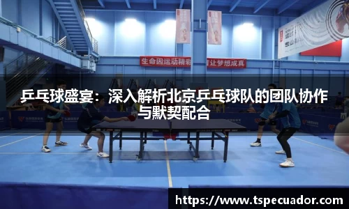 OB电竞官方网站