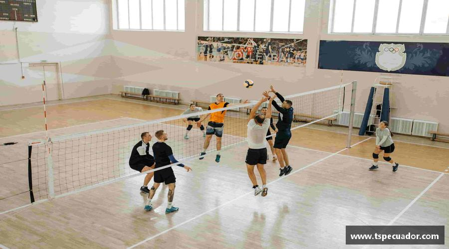 精彩瞬间，尽在体育